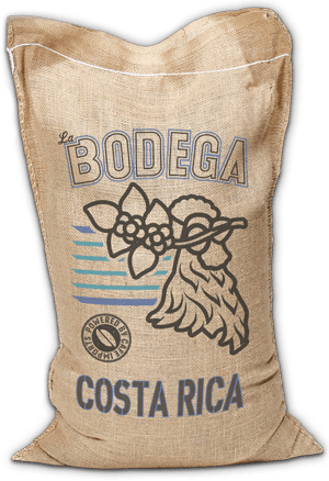 GREEN : Costa Rica : Cafe Vida : Central Valley