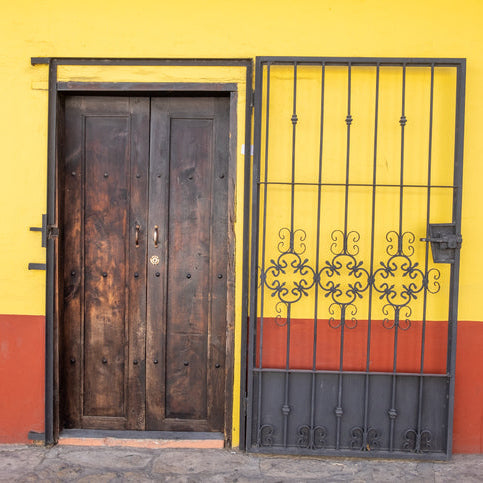 Decaf : Mexico : High-Grown Mountain Water Process