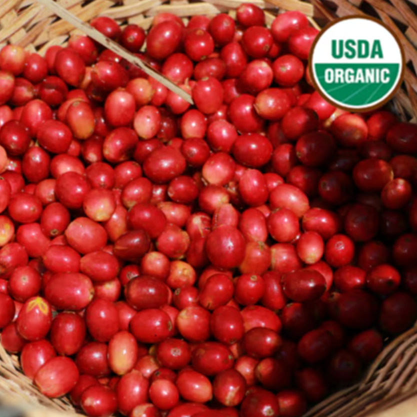 Decaf : Honduras : Organic Swiss Water Process