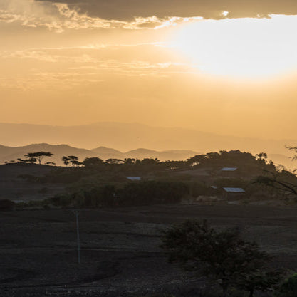 Mini - Light Roast - Ethiopia - Washed Gerse - Small Producers
